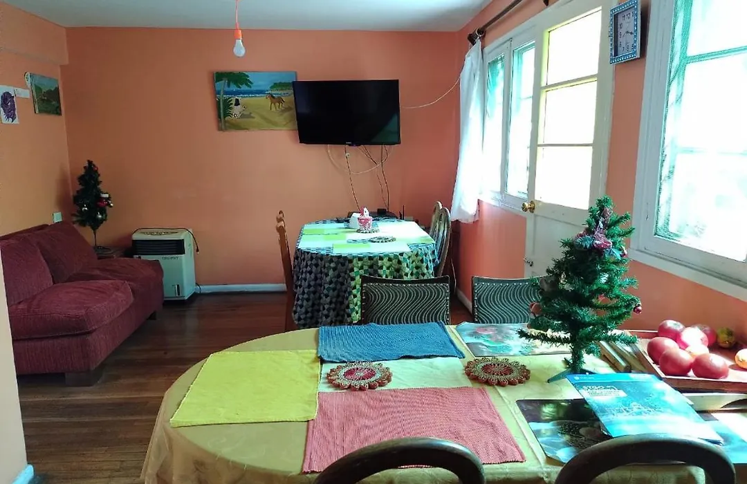 Gatos De Campo-1