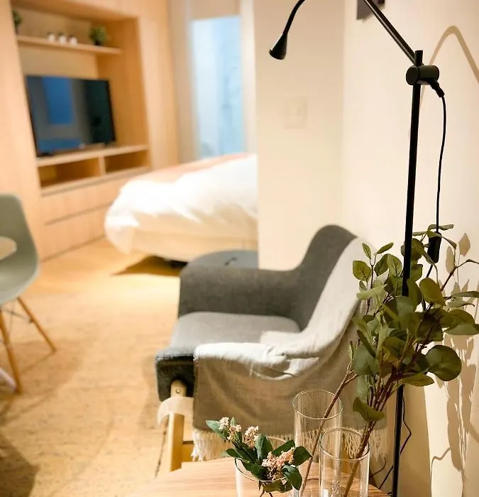 Hom L Departamento Tipo Studio En Lastarria 2Pax-1