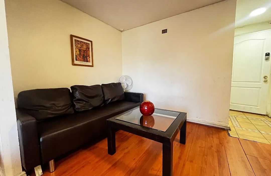 Living Valdivia-1