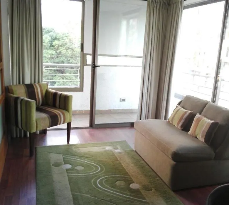 Austral Rentahome Barros Borgono-1