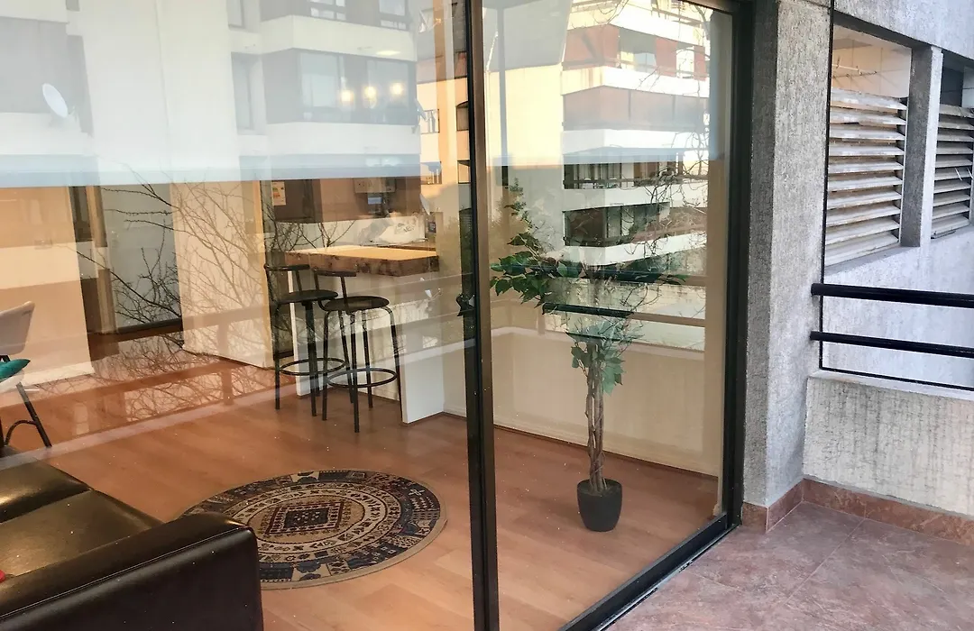 Las Camelias Cerca De Costanera Center-1