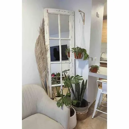 Apartamento Estilo Boho Chic 200M Metro La Cisterna Con Estacionamiento-2
