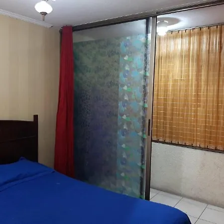 Departamento Full Amoblado 1 Dormitorio-2