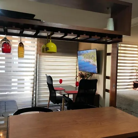 Acogedor Departamento Santa Beatriz 81 Providencia-3