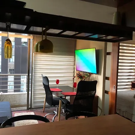Acogedor Departamento Santa Beatriz 81 Providencia-2
