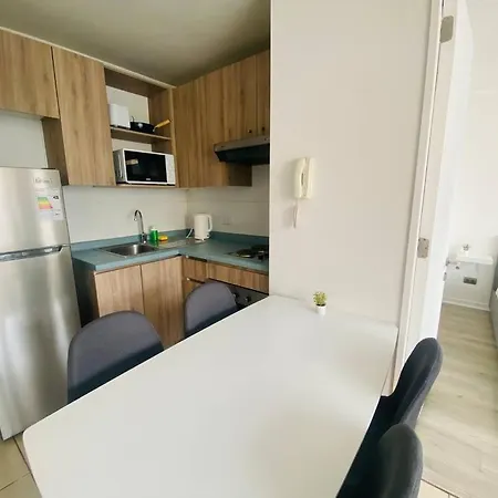 Acogedor Apartamento En Santiago 1D1B-2