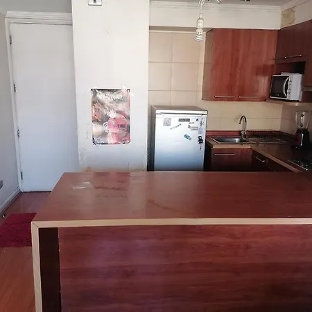 Arriendo Departamento Amueblado-2