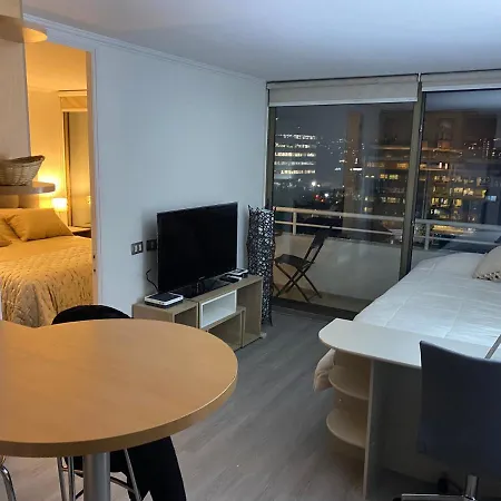 Departamento Acogedor Providencia-2