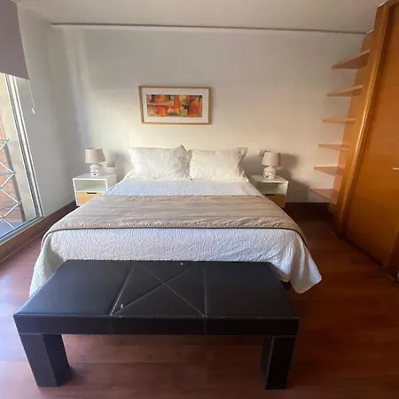 Studio Confortable Providencia-2