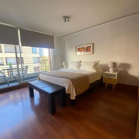 Studio Confortable Providencia-3