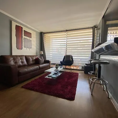 Hermoso Departamento En Providencia-3