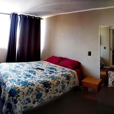 Arriendo Depto Por Dia-2