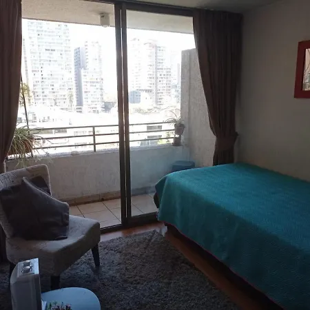 Centrico Departamento En Santiago-2