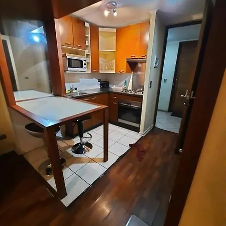 Tremo Santiago Suite Aparment-3