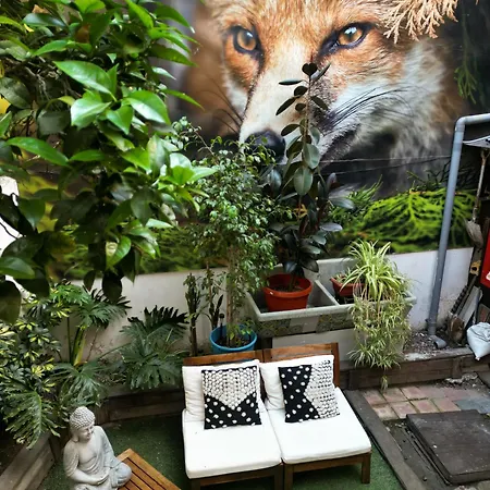 The Fox Hostel-3