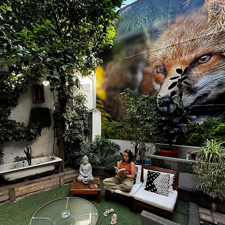 The Fox Hostel-2