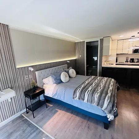 Exclusivo Y Seguro Departamento Parque Arauco Las Condes-2