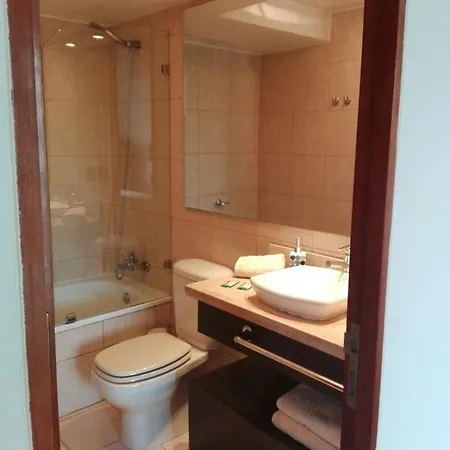 Austral Rentahome Barros Borgono-3