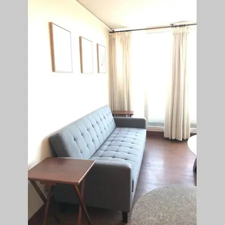 Impecable Departamento Santiago Centro-2