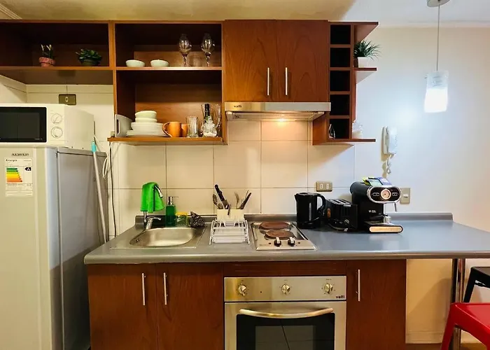 Appartement Comodo Departamento A Pasos Del Metro à Santiago du Chili acceptant les animaux