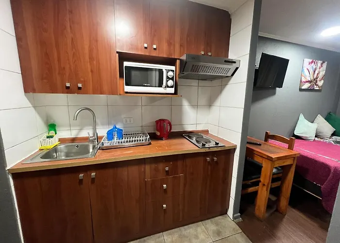 Departamento Home Studio Santiago del Cile che accetta animali