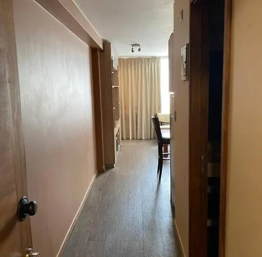 Disfruta De Tu Estadia Departamento Ideal Stgo Santiago que aceita animais de estimação