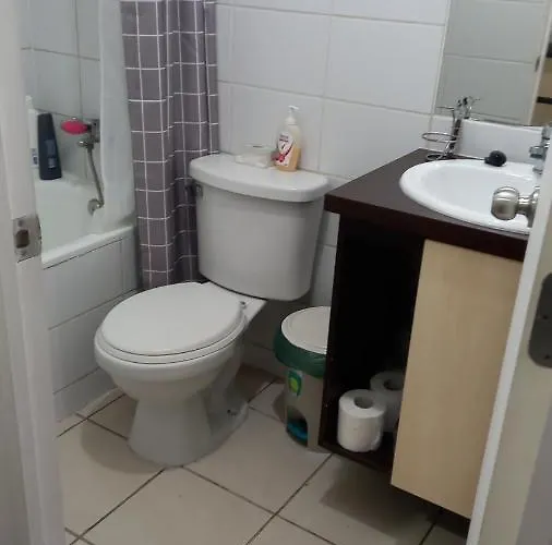 Appartement Departamento Studio à Santiago du Chili acceptant les animaux