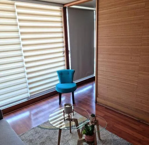 Apartamento Dpto Metro Pedro de Valdivia, Costanera Center Santiago de Chile