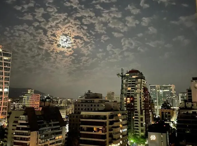 Hermoso Departamento En El Mejor Lugar De El Golf Santiago que aceita animais de estimação