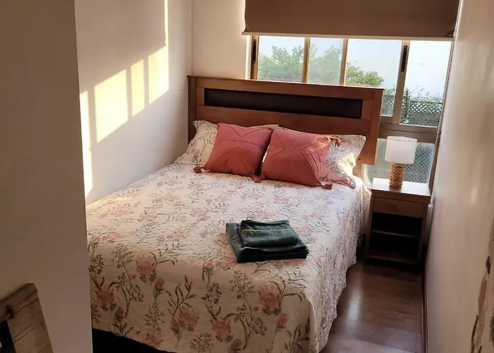 Habitacion Doble En Apartamento Compartido Nunoa - Providencia Santiago que aceita animais de estimação