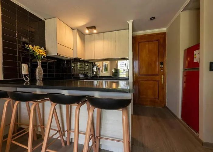 Metro Manuel Montt 5 Personas / Estacionamiento Apartamento Santiago