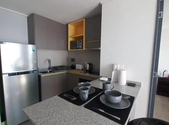 Appartement Moderno Depto Para 2/3 Pers. Gym + Quincho+ Otros. à Santiago du Chili acceptant les animaux