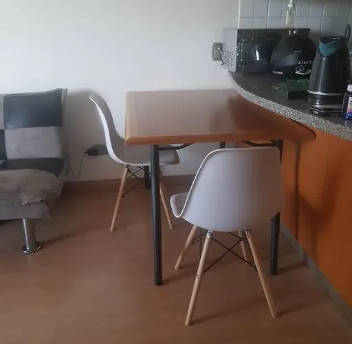 Appartamento Departamento Con Linda Vista, A Pasos Del Metro Escuela Militar Y Mall Costanera Center Y Parque Aauco Santiago del Cile che accetta animali