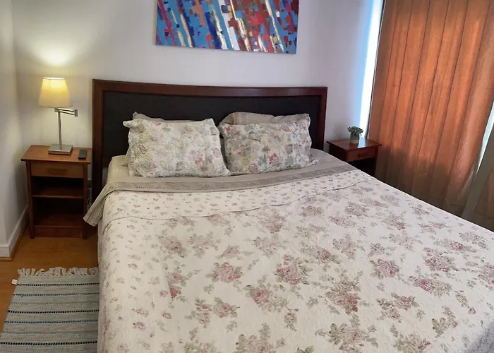 Appartement Departamentos Amoblados V&V à Santiago du Chili acceptant les animaux