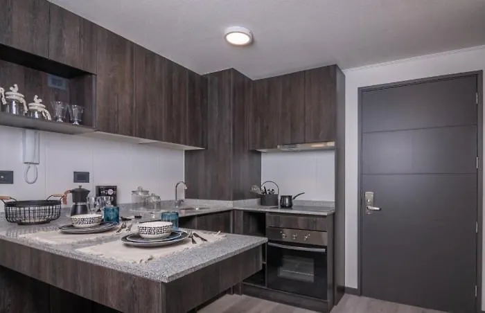 Departamento Nuevo En El Centro De La Ciudad Apartamento Santiago