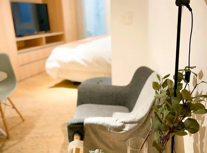 Hom L Departamento Tipo Studio En Lastarria 2Pax Santiago que aceita animais de estimação