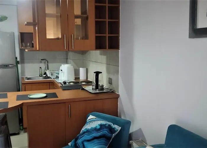Apartamento Departamento Full Amoblado Y Equipado Santiago de Chile