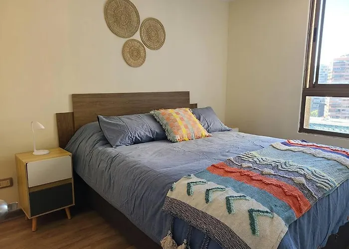 Apartamento Departamento Santa Lucia Santiago de Chile admite animales