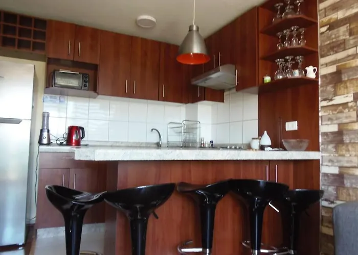 Acogedor Departamento Apartamento Santiago de Chile admite animales