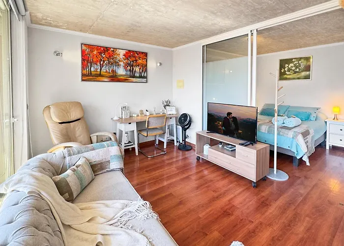 Bello Depto, Ideal Viajes Por Trabajo O Vacaciones Santiago