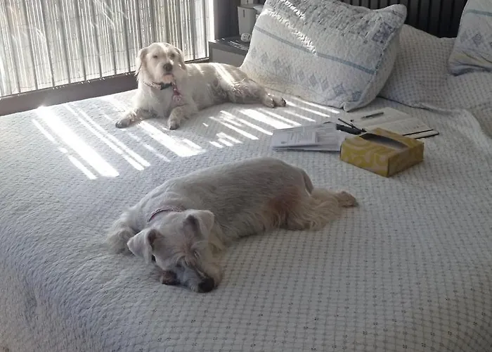 Apartamento Plaza Egaña sky Santiago de Chile admite animales