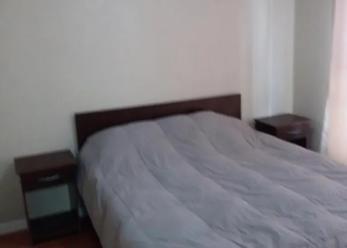 Depto A Pasos De Metro Irarrazaval Apartamento Santiago que aceita animais de estimação