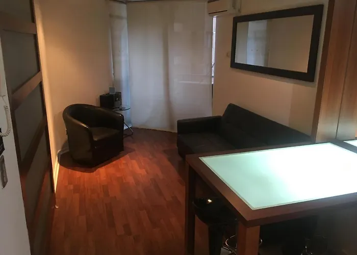 Santiago Valley Apartment admite animales